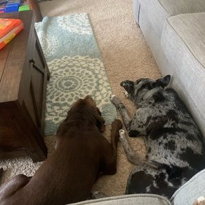 Meet your Posher, Michael